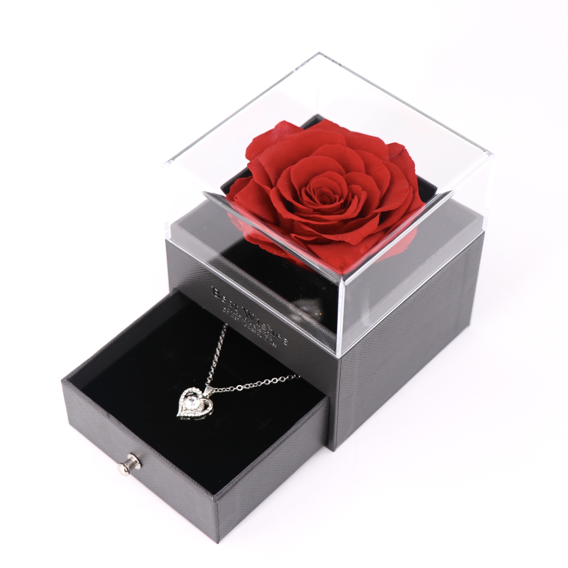 Vida eterna verdadera rosa roja