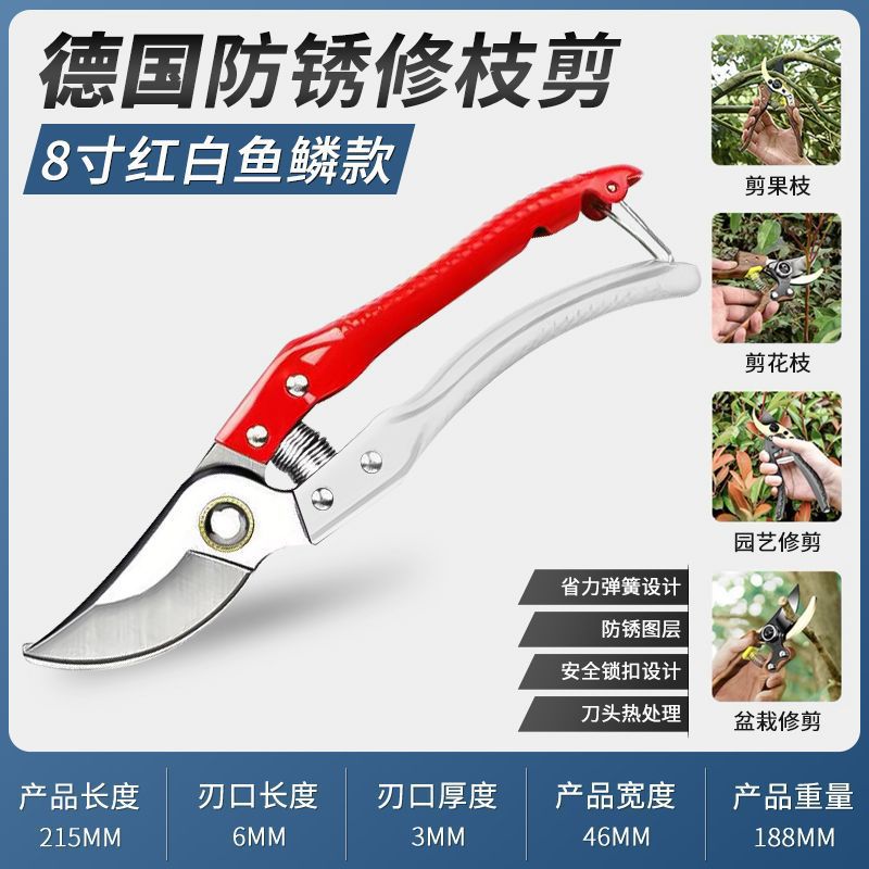 빨간색과 흰색 물고기 스케일 가지 치기 가위