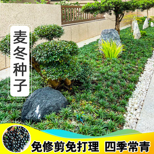 �����ݷN���ļ���ƺ�N�������ݼ��~���~�ձ�������߅����ͥԺ����