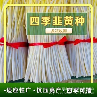 �ļ����S�N�ӽ�U�S�²˷N�Ѿ��S�N��ͥԺ�̨�����߲˷N��