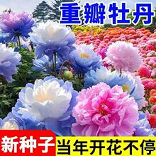 ̴lĵNșN ļ ĵNļ׷N