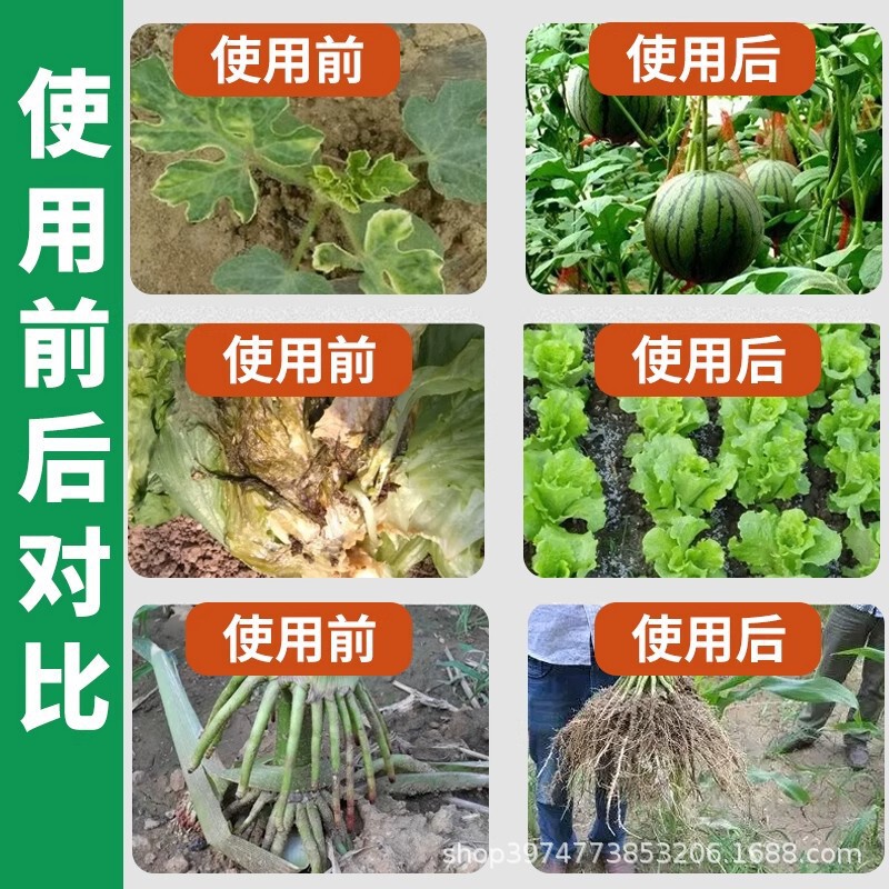 植物多菌霊百菌霊花白粉炭黄葉斑黒斑病専用除菌花病康スプレー|undefined