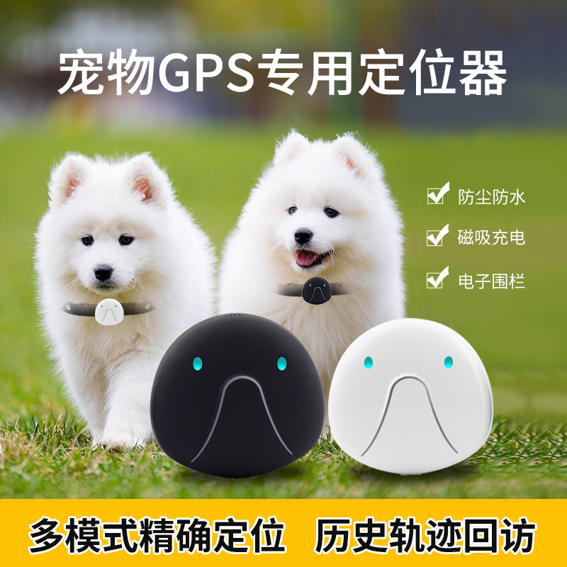 Transfronterizo 4GGPS localizador de mascotas WiFi posicionamiento perro gato localizador inteligente Pet Tracker anti-perdido