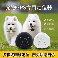 Трансграничный 4GGPS Pet Locator WiFi Расположение Собака Собака Кошка Кошка Локатор Умный трекер для домашних животных против потери