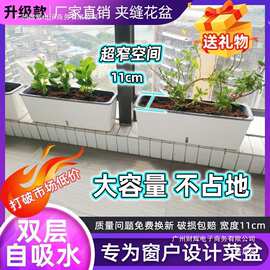 超窄长条花盆储水窗台种植盆家庭蔬菜箱长方形花箱阳台塑料原料