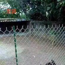 ���P�����F�z�W����䓽z�WȦ���@�ˈ@���o�W�B�u�ř����a�S��
