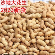 23年新货】农家铁锅炒花生原味炒熟花生带壳现炒现发柴火花生炒货