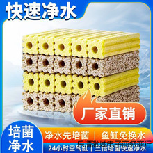 ~^VʯӢ{׼մɭhמVD،ÃˮV