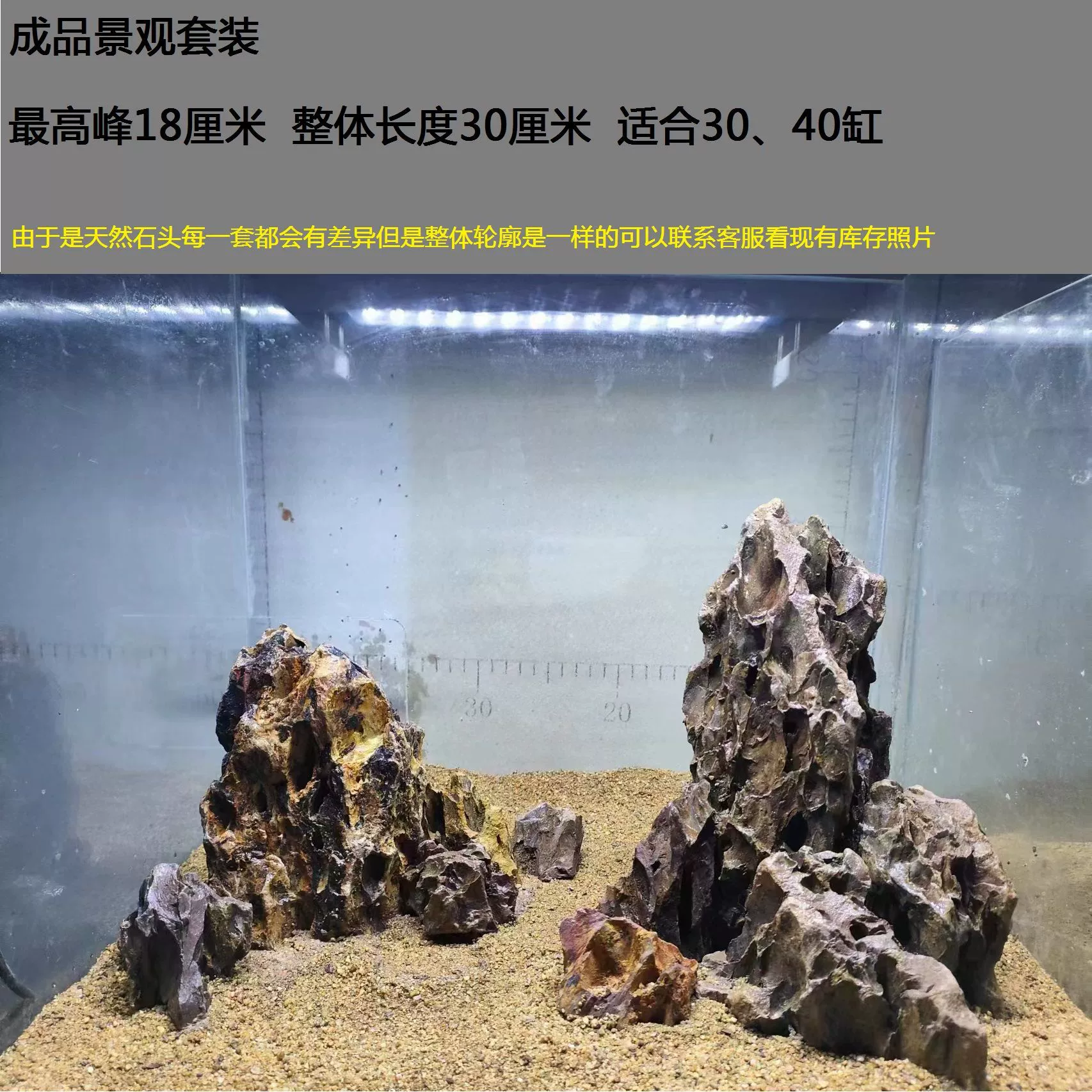Sansui, aquarium, skeleton, set, wholesale, Amazon