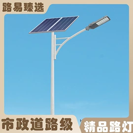 太阳能灯;庭院灯;道路照明灯