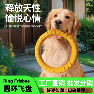 ����ߴ���Ȯ�A�h�w�P߅�������hĥ����ҧ�␞����̩�ό���С����