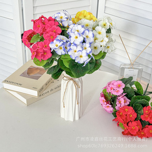 �F؛�羳���R�d������N���溣�ĸɻ����ٻ��Ҿӿ͏d���ÿ��z��