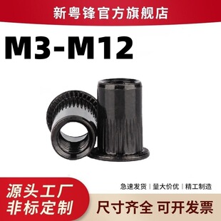 �S�����l���\���T��ĸƽ�^�Q�y�T��ĸ���\ͨ����ñ�T����ĸM3-M12