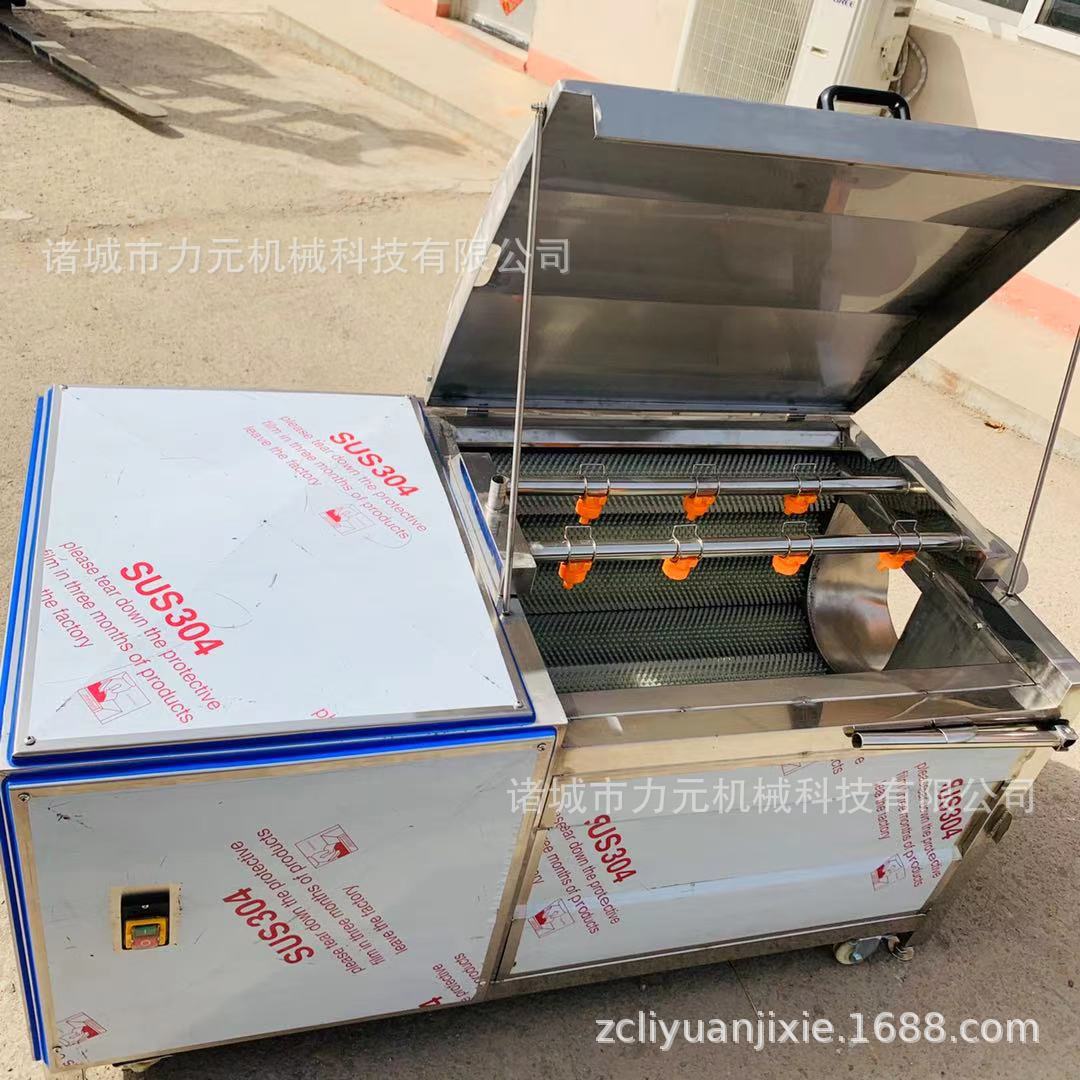 去皮清洗机 芋头莲藕土豆毛辊清洗去皮 不锈钢根茎类贝壳类清洗机