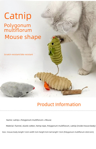 Toys Wholesale Pet Morning Cat Toys Mouse Shape Cat Nibbles and Relieve Boredom Supplies Wooden Polygonum Cat Mint Toys