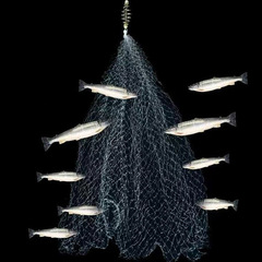 Automatic Fishing Net Boss Binder, Simple Spring Trap, Bait Fishing Net Adhesive Tool Accessories Cross-border Wholesale