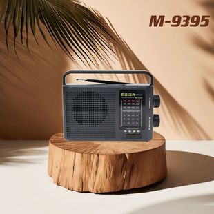 �ನ�Ό��I�����C M-9395