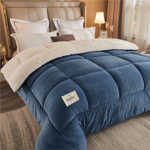 Winter Thick Lamb Wool Fleece Winter Blanket Milk Fleece Blanket Insert Single Size Double Size Bedding Student Warm Cotton Pad Blanket