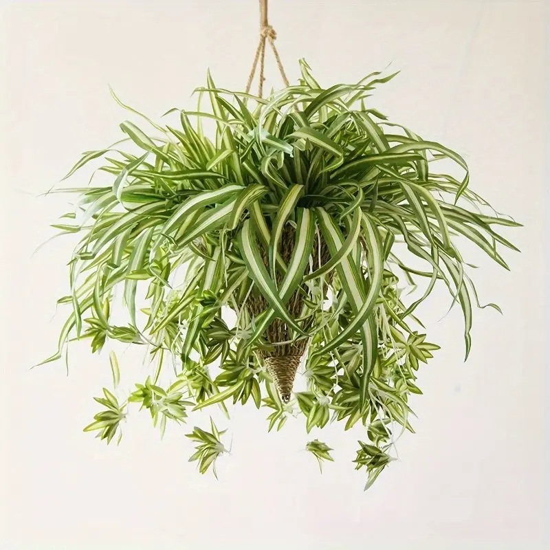 Wholesale Artificial Flower 5-pronged Phnom Penh Spider Orchid Potted Green Plant Silk Flower Fake Flower Bouquet Artificial Plant Living Room Decoration