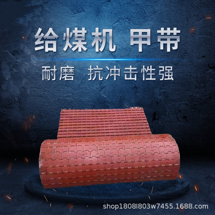 给煤机甲带.jpg