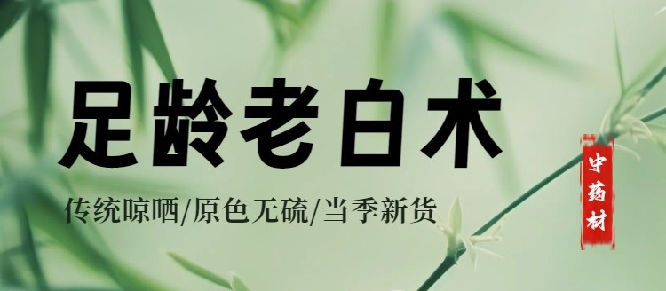 White Atractylodes Rhizome Bai Zhu Sliced Dried Herb 500g for Decoction and Tea overview