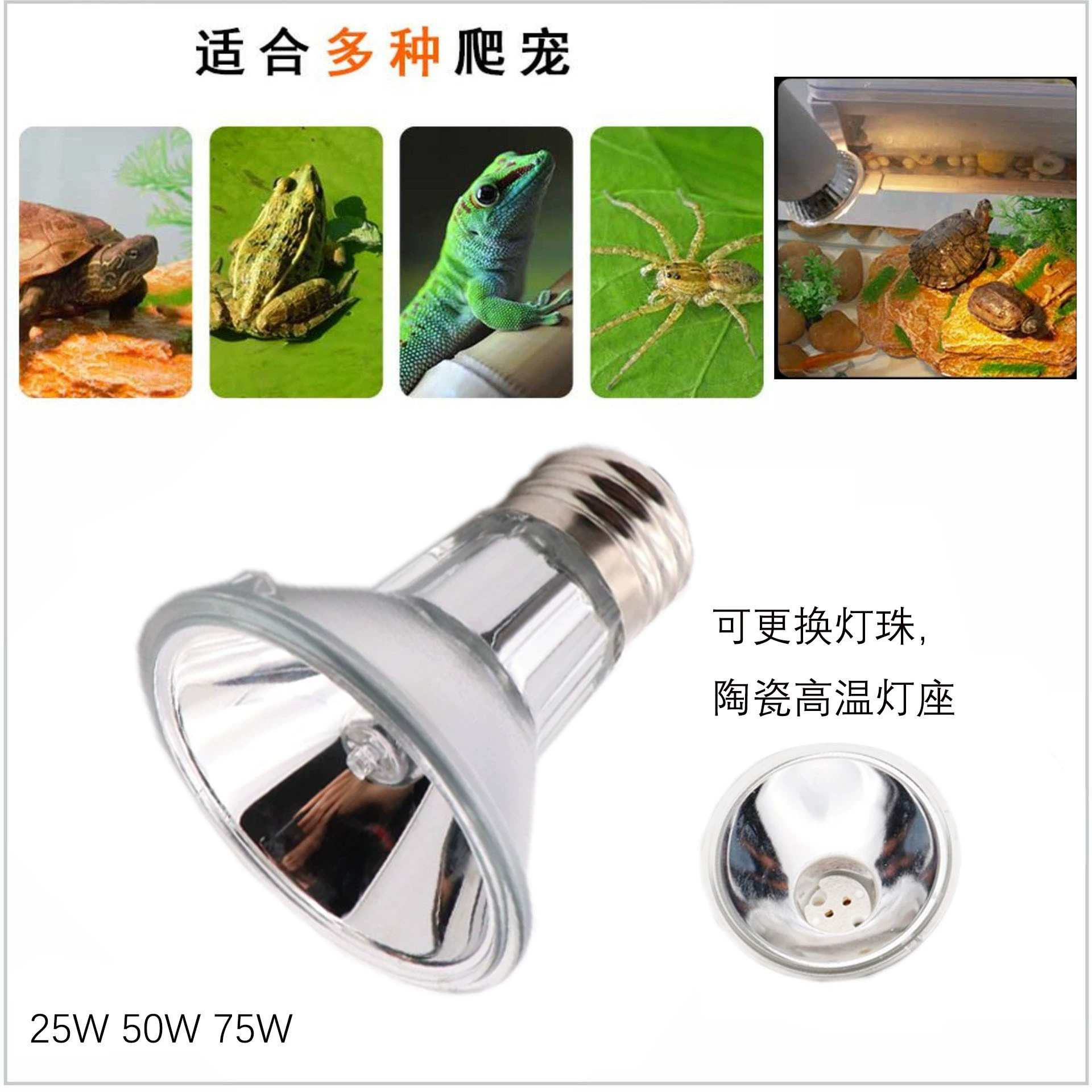 Ampoule remplaçable halogène, tasse lampe, Ampoule de chauffage, lampe arrière tortue, lampe d’isolation, lampe de chauffage