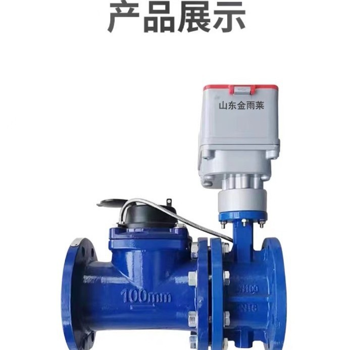 山东金雨莱高标准农田专用灌溉智能物联网远传阀控非阀控水表