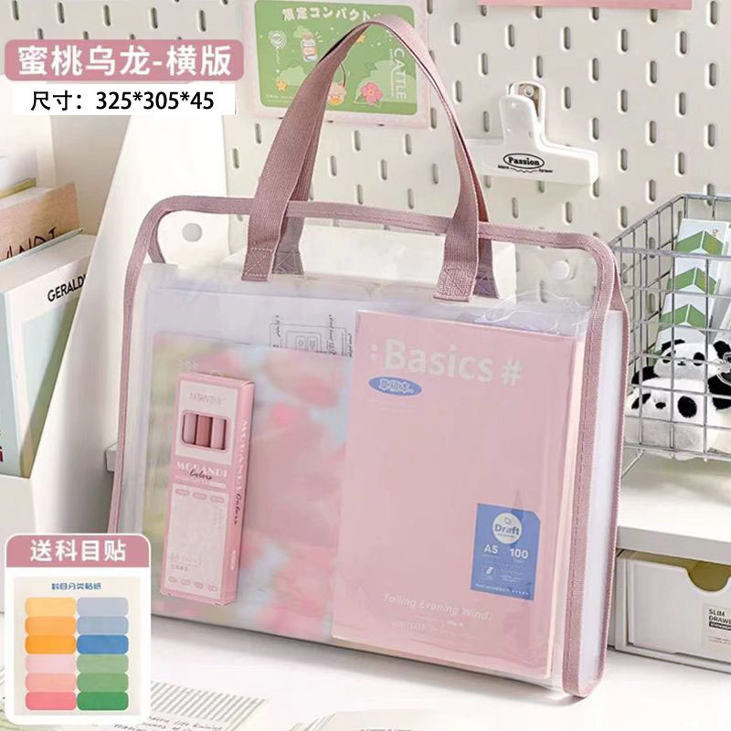 Fabricante mayorista A4 bolsa de acordeón transparente multifuncional de gran capacidad de carpeta bolsas de papel de prueba de estudio multicapa
