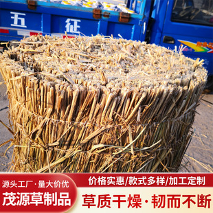 Customized Natural Seasonal Fresh Straw Grass Grass Grass Grass Seeds, Dried and Strong Whole Vehicle Greenhouse Grass Seeds