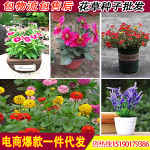 һlNβ̫ꖻR޲ݰղݲ˹ՠţ۹