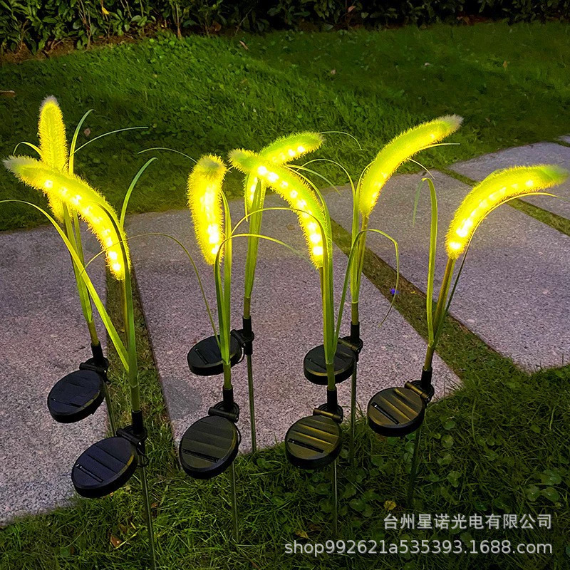 단일 머리 개 꼬리