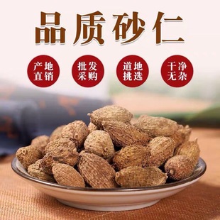 ɰ�� �o��ɰ����؛ ��ș������ꖴ�ɰ�� 500�˰��]  ���ϴ���