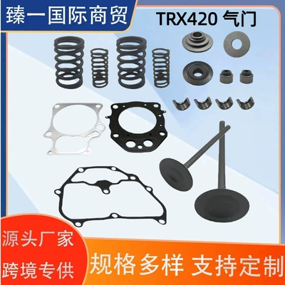 Motorcycle Valves Are Suitable for Honda Trx420 Ex Xr420R Sportrax420 Valve Oil Seal Gasket