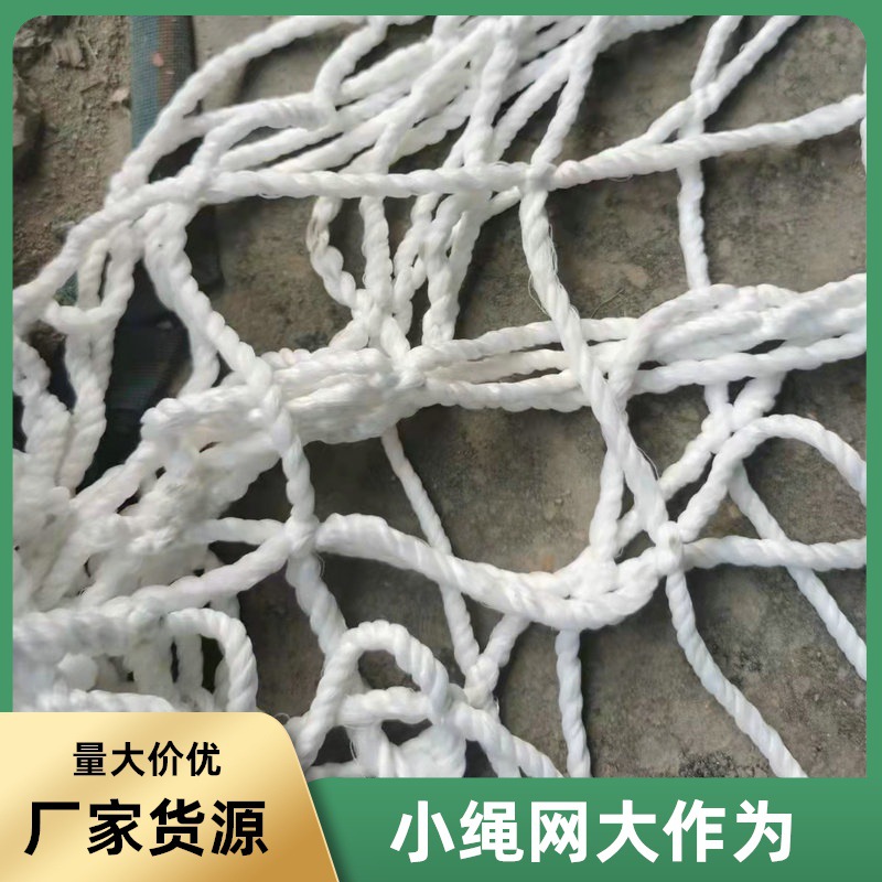 广州绳网港珠澳建筑工地防坠网 高空坠物拦网 乡村振兴建设绿色网