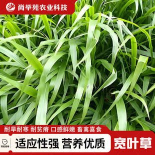 ���~ȸ�޲�ƺ�ݷN��ϲ�ݲ��ѾG���o�¹����ͺ������;G���ѷN��