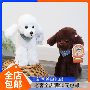 Ψ��ؐؐ�F�eȮ�����ތ��ﹷ��ż����ë�q��߄��﹫�����նY��