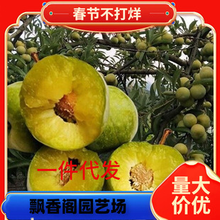 һ�����l�޽����Ә��m���A������Ó������t�����m�Ϸ������Nֲ