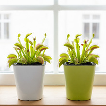 ��ω��ʳ�x�ݺ����m����ֲ����Ñ��˻��脓������ˮ���˷��λ���