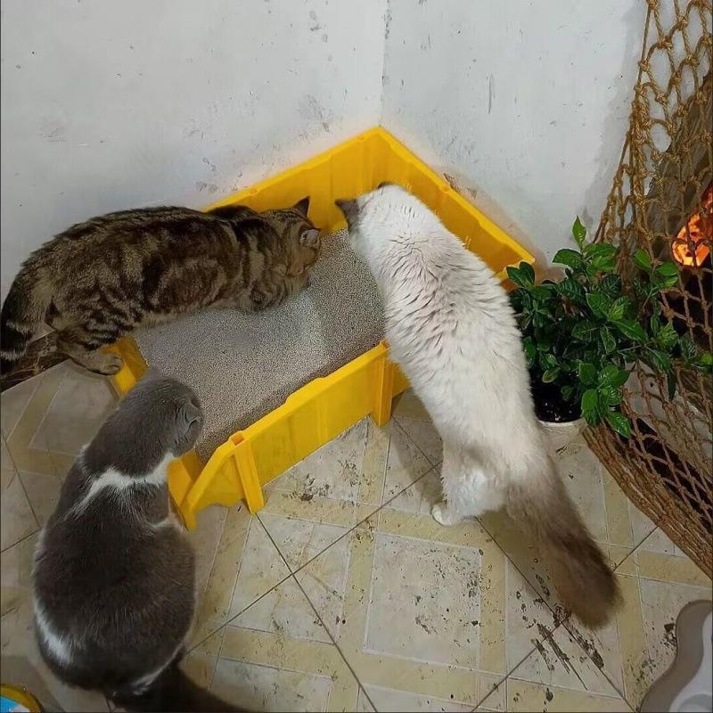 猫トイレサイズ 特大 メインクーン猫 巨大コンテナ ラージターンオーバー フルオープン ジャイアント デフォルト|undefined