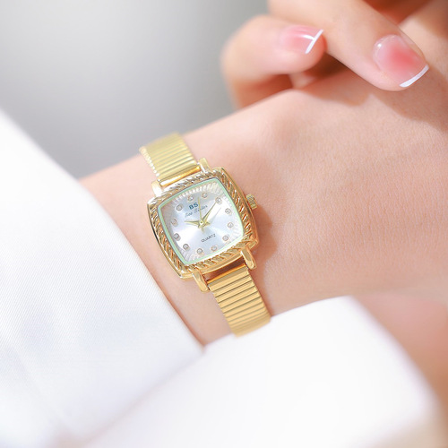 BS new hot-selling watch manufacturer direct sales light luxury INS cold wind small square watch women's stainless steel watch bamboo strap