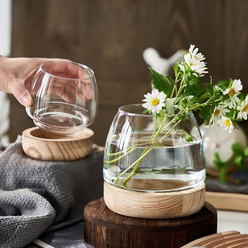 Simple green radish copper money grass desktop ecological fish tank living room flower arrangement ornaments hydroponic vase transparent glass
