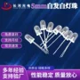 圆头直插指示发光灯珠