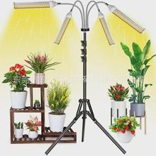 led12Vֲ�����L���a���֧�܊A��̫ꖹ�ȫ���V�������Gֲֲ���