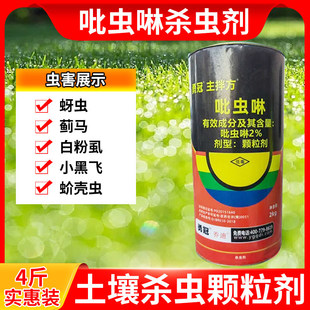 ���x�����x���w��С��ș�������xș���������¼������������x�E�R