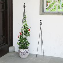 ⭐园艺爬藤架铁线莲藤本月季盆栽铁架支柱蔬果爬藤支架四脚铁艺泉