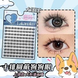 假睫毛;其他美妆工具;化妆刷、刷包