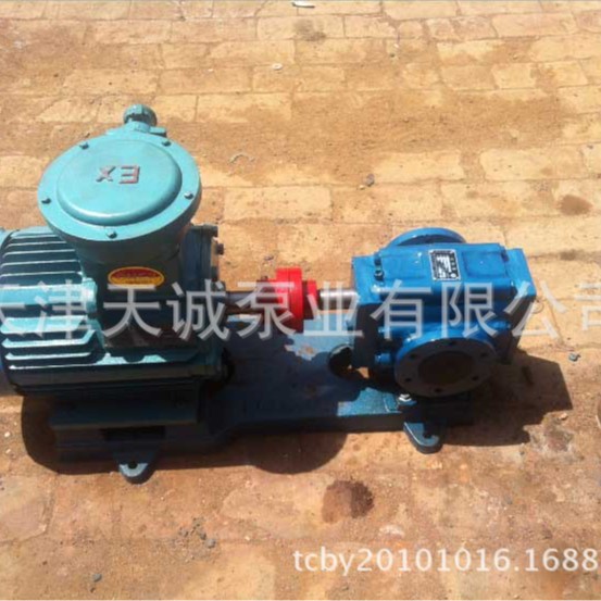 独立润滑齿轮泵TCBW/不锈钢齿轮泵/较耐磨齿轮泵/油漆齿轮泵