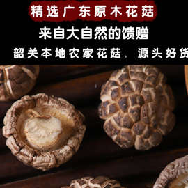 特级花菇干货500g广东农家新鲜野生椴木菌菇蘑菇香菇冬菇优质新货