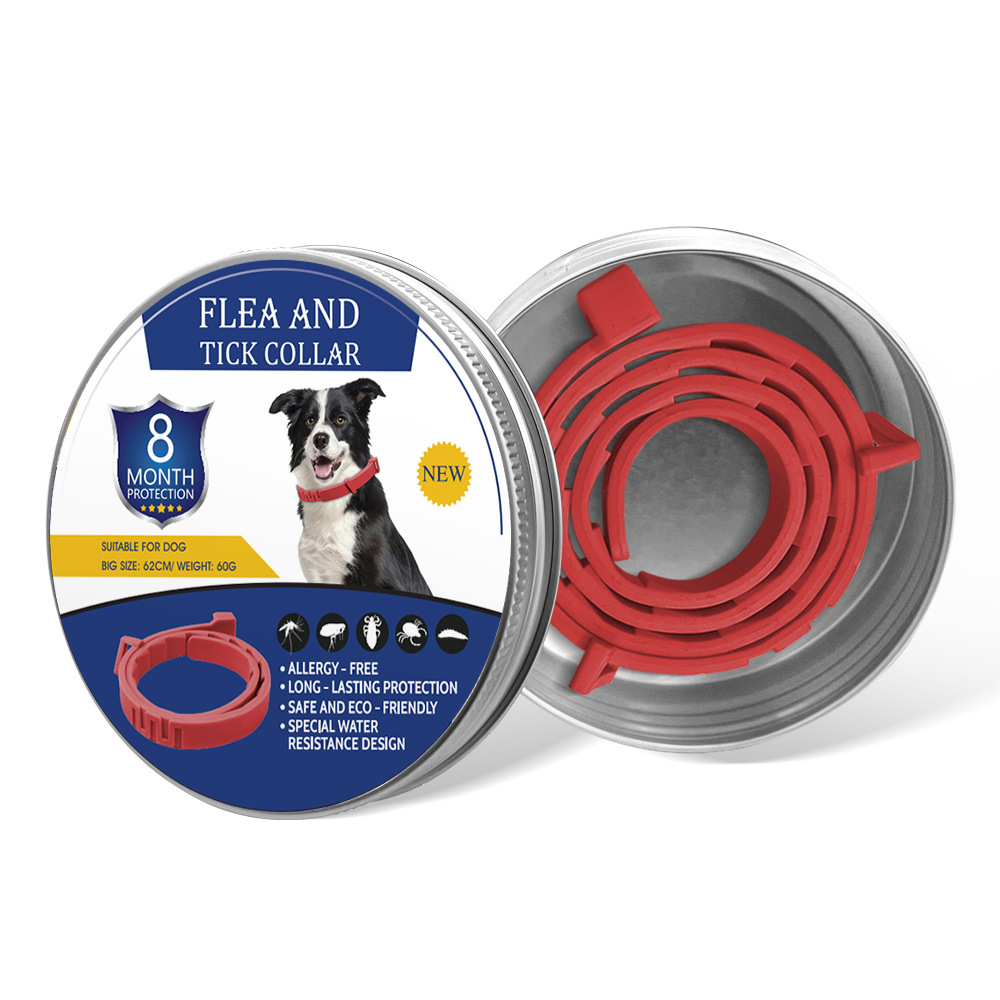 빨간색 강아지 디자인 선물 세트