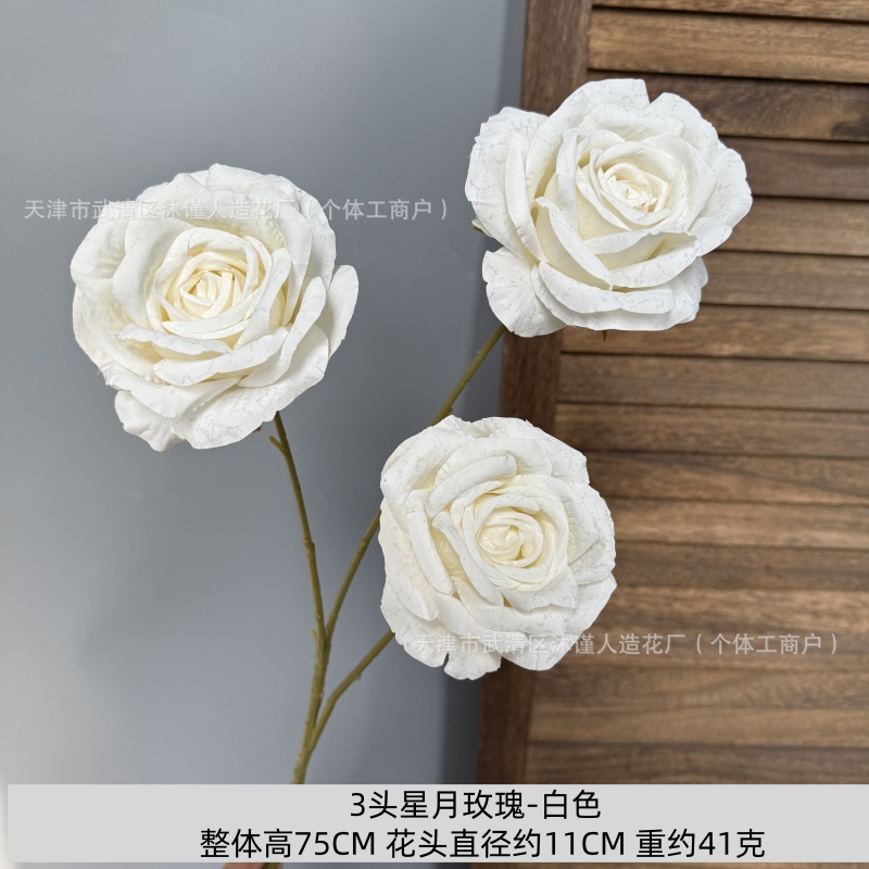 별빛 달빛 장미